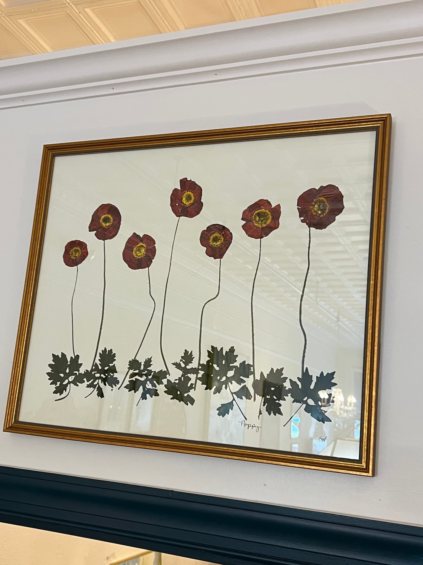 24x20 Framed Botanical - Poppy Garden