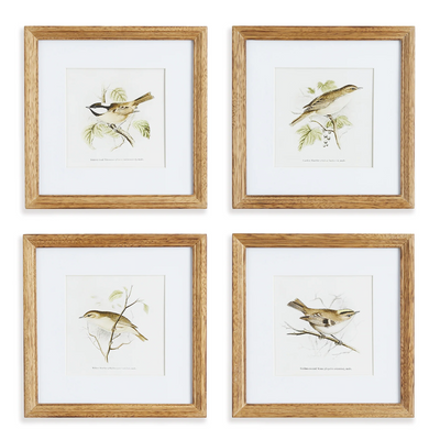 Perching Bird Study Petite