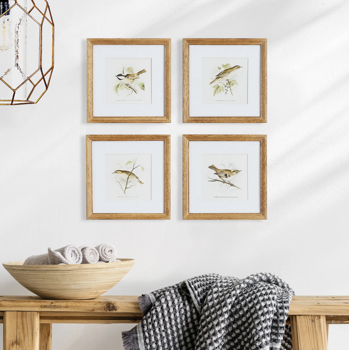 Perching Bird Study Petite
