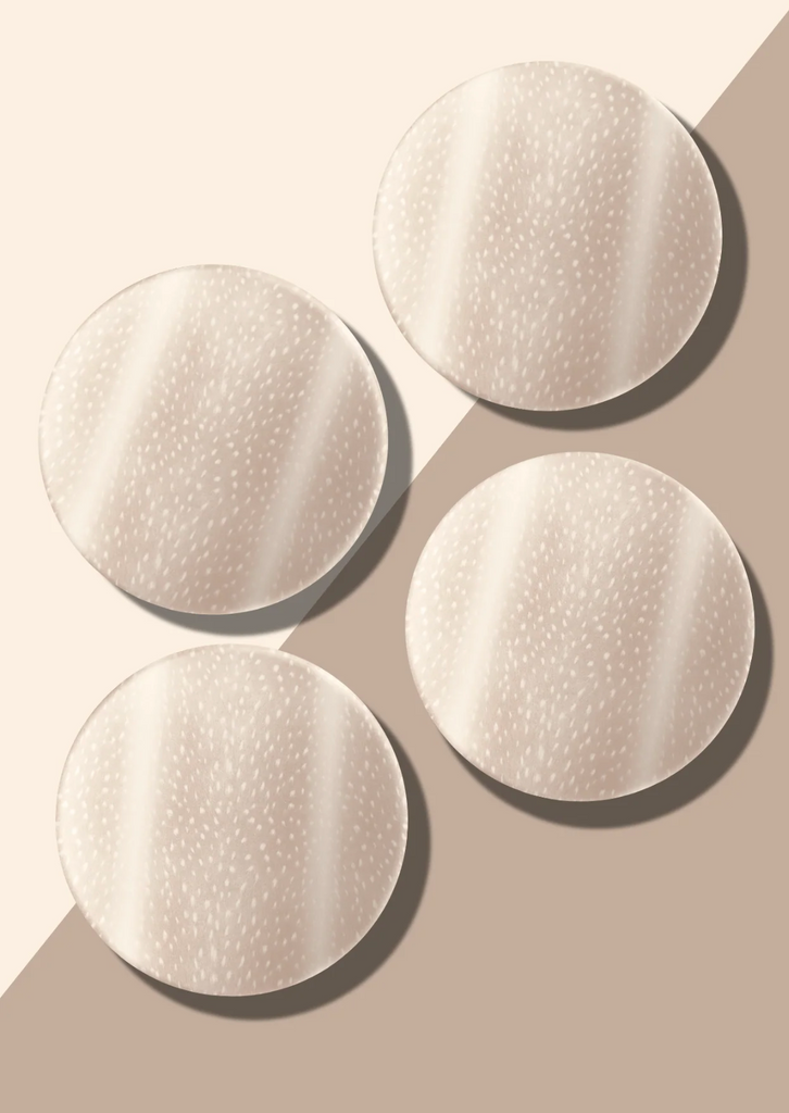 Cardinal Lane Design Coasters