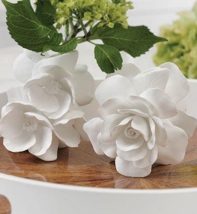 Cameo Porcelain Vases