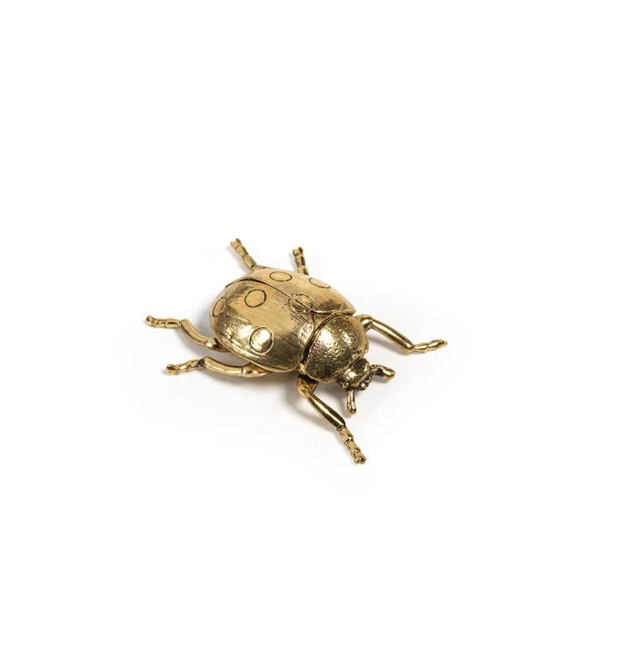 Decorative Gold Ladybug