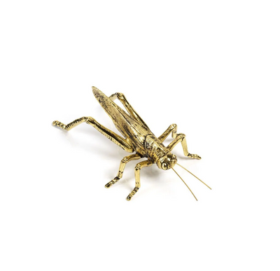 Decorative Gold Grasshopper