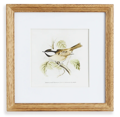 Perching Bird Study Petite