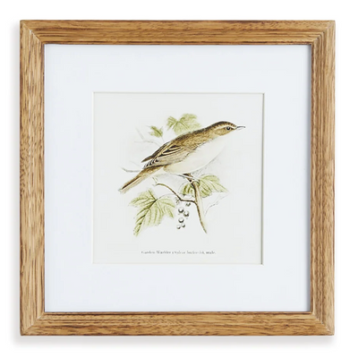 Perching Bird Study Petite