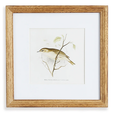 Perching Bird Study Petite